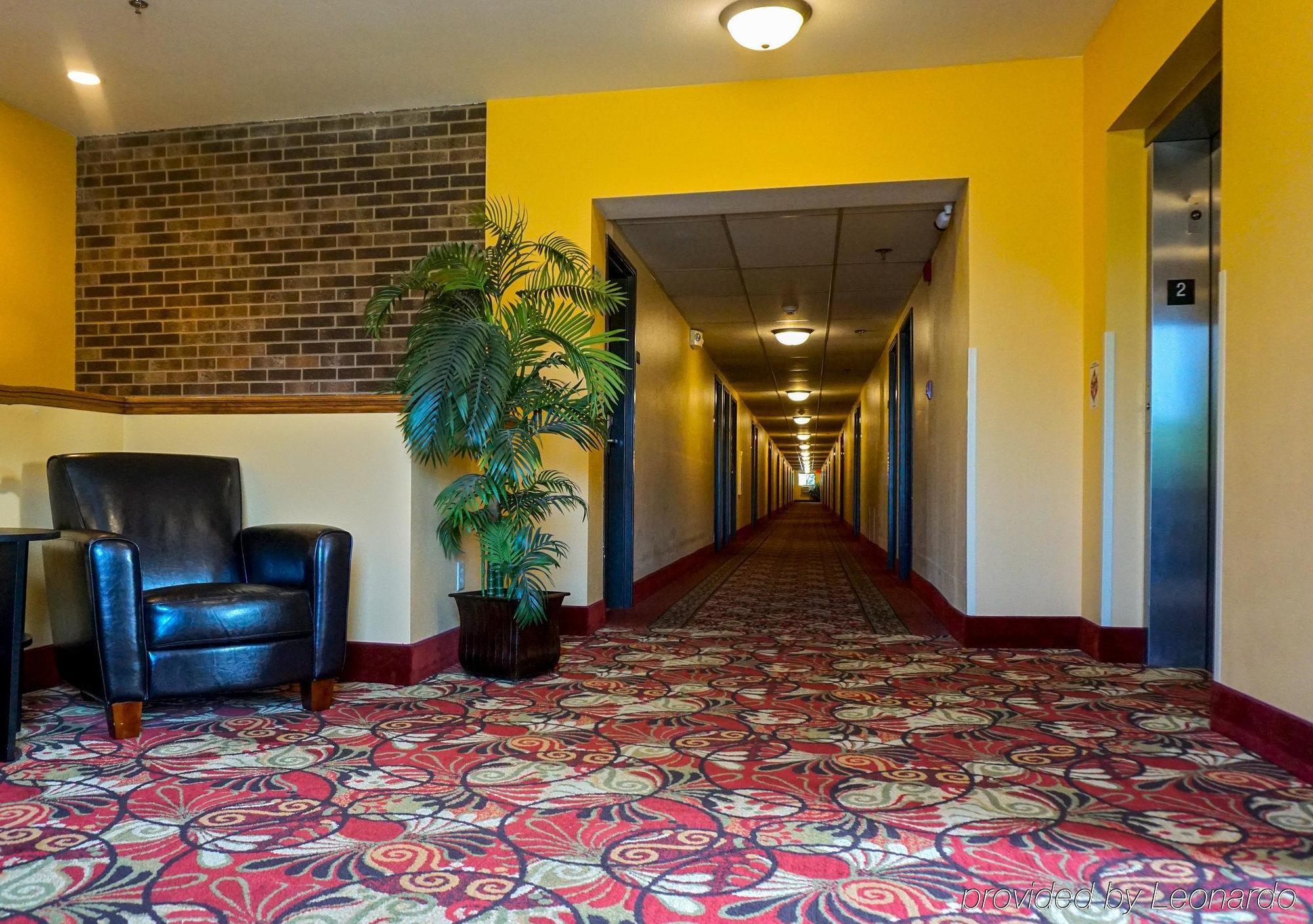 Econo Lodge Mayo Clinic Area Rochester Exterior photo